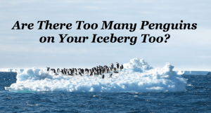 too many penguins
